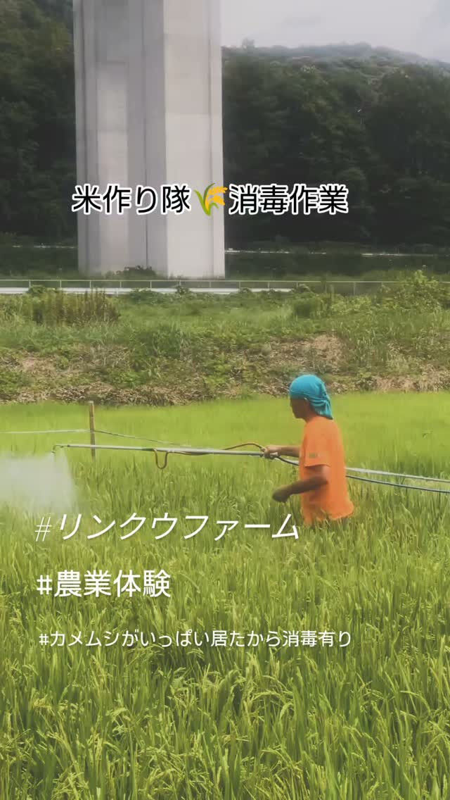 田んぼでの夏の挑戦！