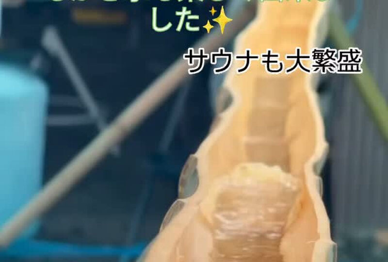 動画サムネイル