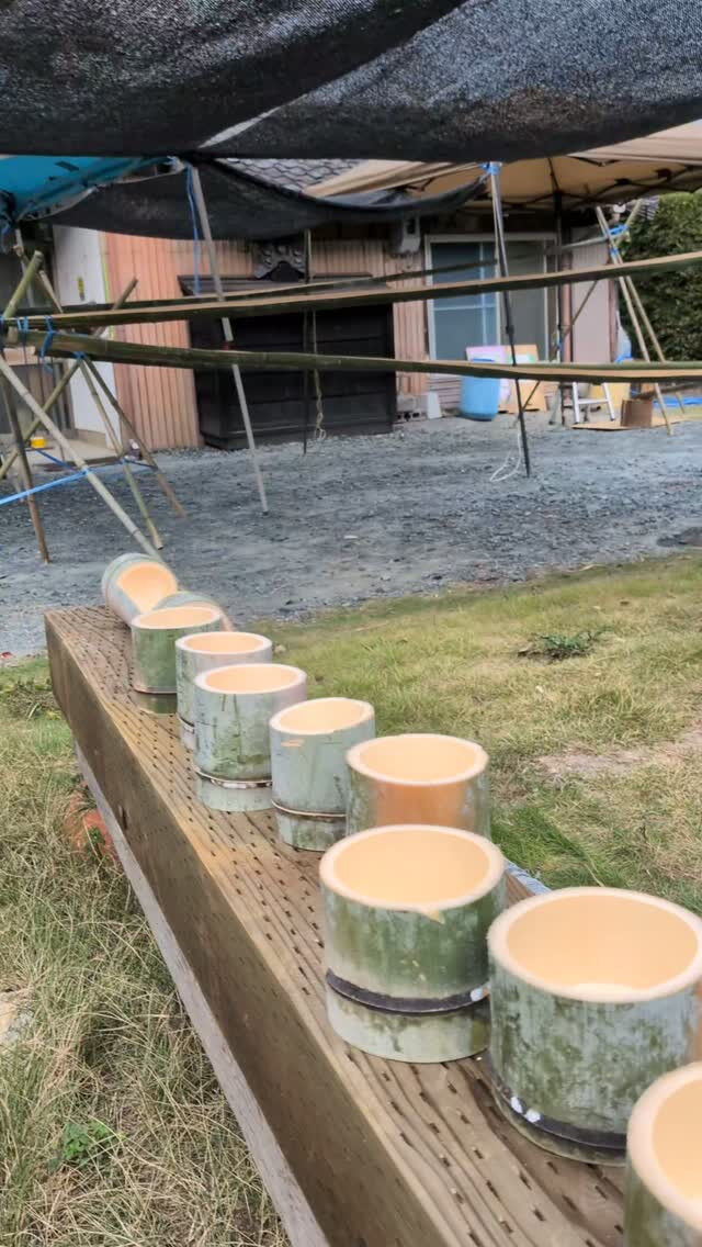 夏の思い出！